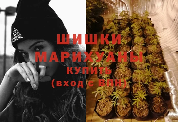 стафф Карпинск