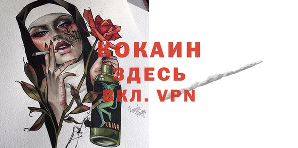 стафф Карпинск