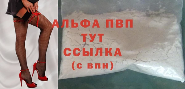 стафф Карпинск