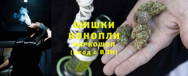 стафф Карпинск