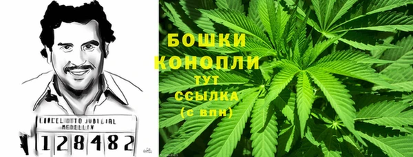 стафф Карпинск